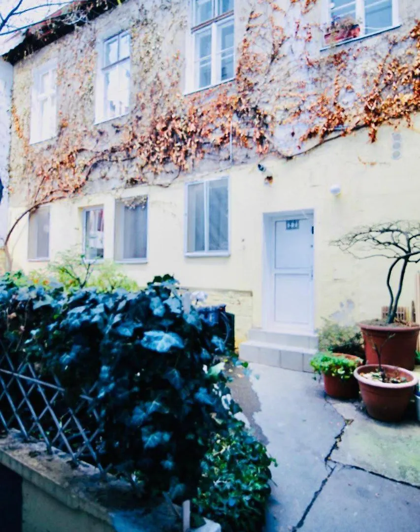 Spacious 2Br 1Lr Apt 10 Min To St Stephen Vienna